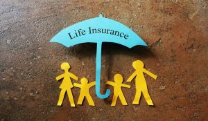 Life Insurance paper family