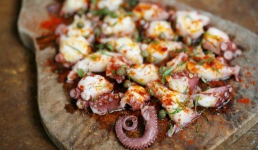 Galicia octopus